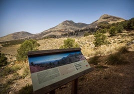 Panel informativo sobre Sierra Elvira y, al fondo, pastos carbonizados por el incendio en Pinos Puente.