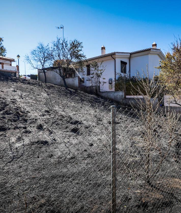 Imagen secundaria 2 - Estado en el que ha quedado el monte.