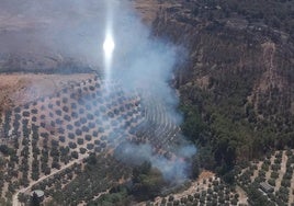 Otro incendio en Pinos Puente moviliza al Infoca por .