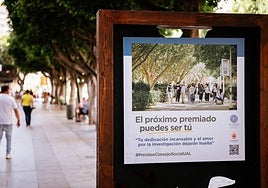 Las candidaturas se presentarán hasta el 30 de septiembre.