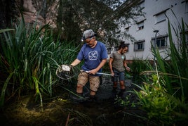 Los biólogos Juan Ramón Fernández y Juan Pedro Cámara inspeccionan la charca en busca de ranas.