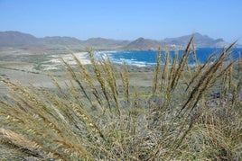 Una playa de Almería entre las mejores de España para National Geographic