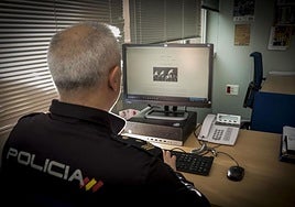 Policía de ciberdelitos.