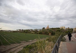 Nuevo sector en desarrollo en la ciudad de Motril.