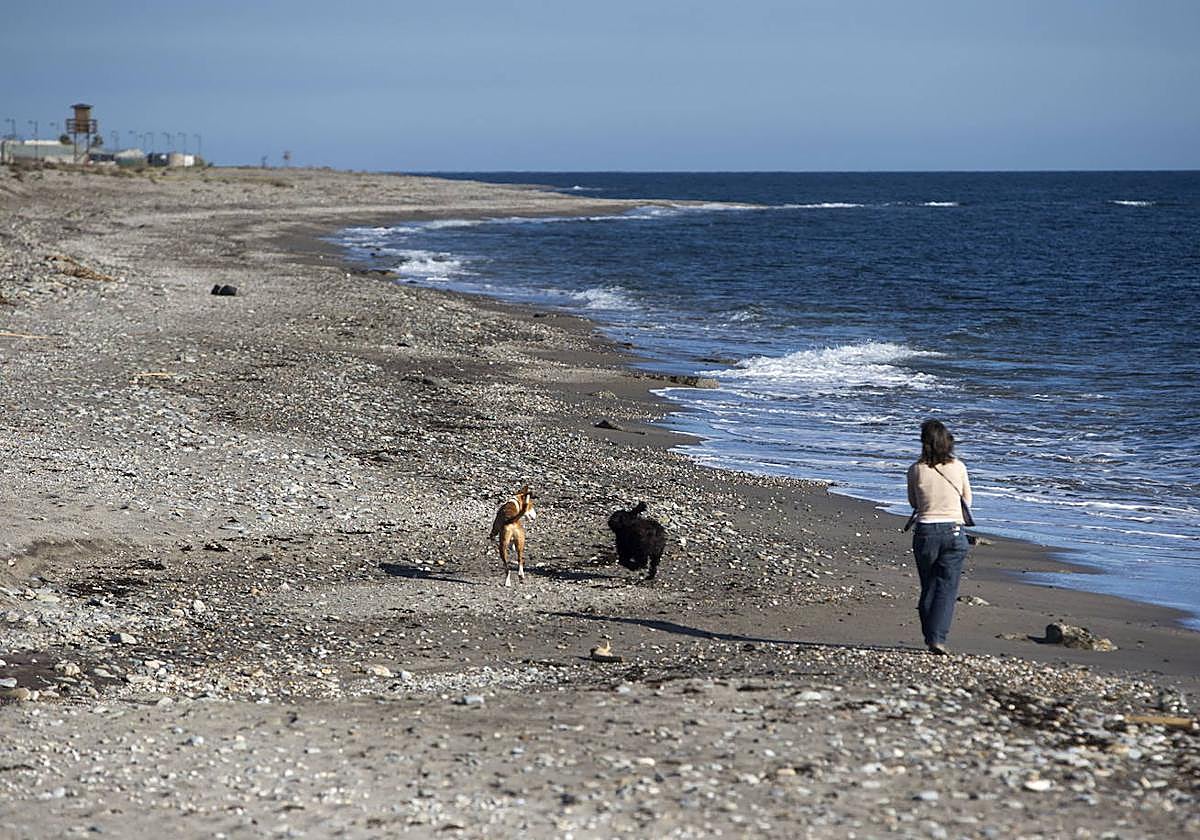 Frustran el desembarco de casi 4.000 kilos de hachís en Carchuna