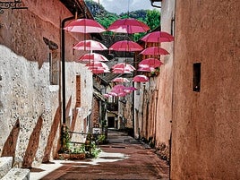 San Román Summer Fest