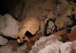 Restos óseos encontrados en el interior de la cueva.