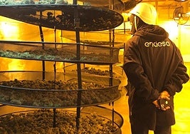 Un operario de Endesa durante la investigación de un caso de enganche ilegal con marihuana
