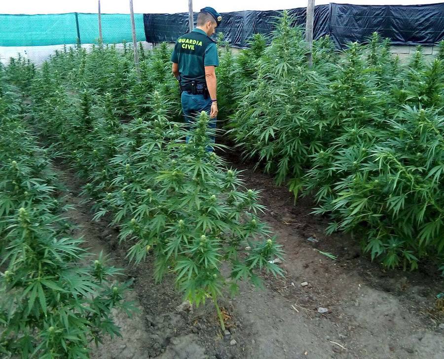 Diez detenidos tras descubrirse un centro de almacenaje y distribución de marihuana en Cijuela que operaba en Almería y Roquetas de Mar