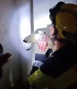 Momento en el que sacan el gato de la tubería.