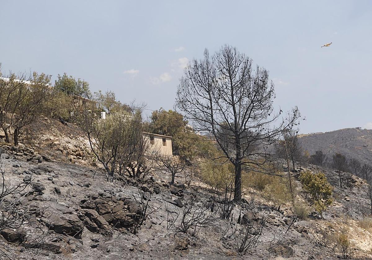 Infoca en el incendio de Almuñécar.