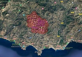 Imagen de satélite de la zona quemada en Almuñécar.