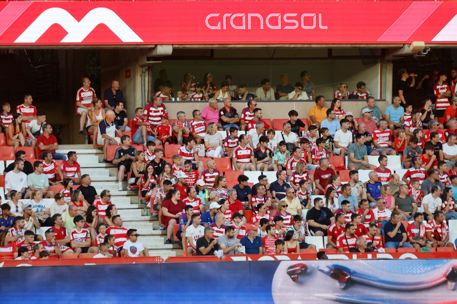 Encuéntrate en la grada durante el Granada-Albacete