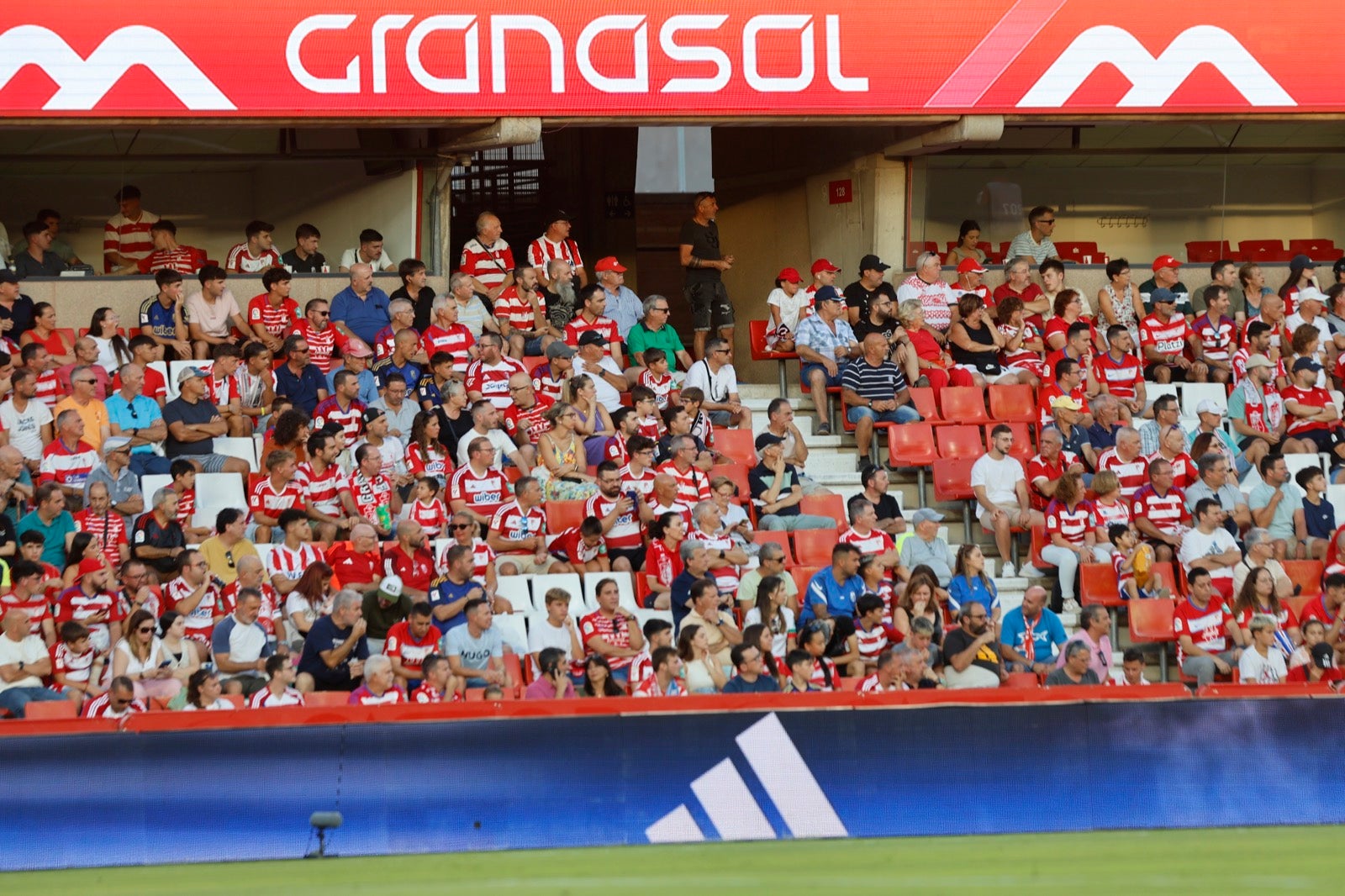 Encuéntrate en la grada durante el Granada-Albacete