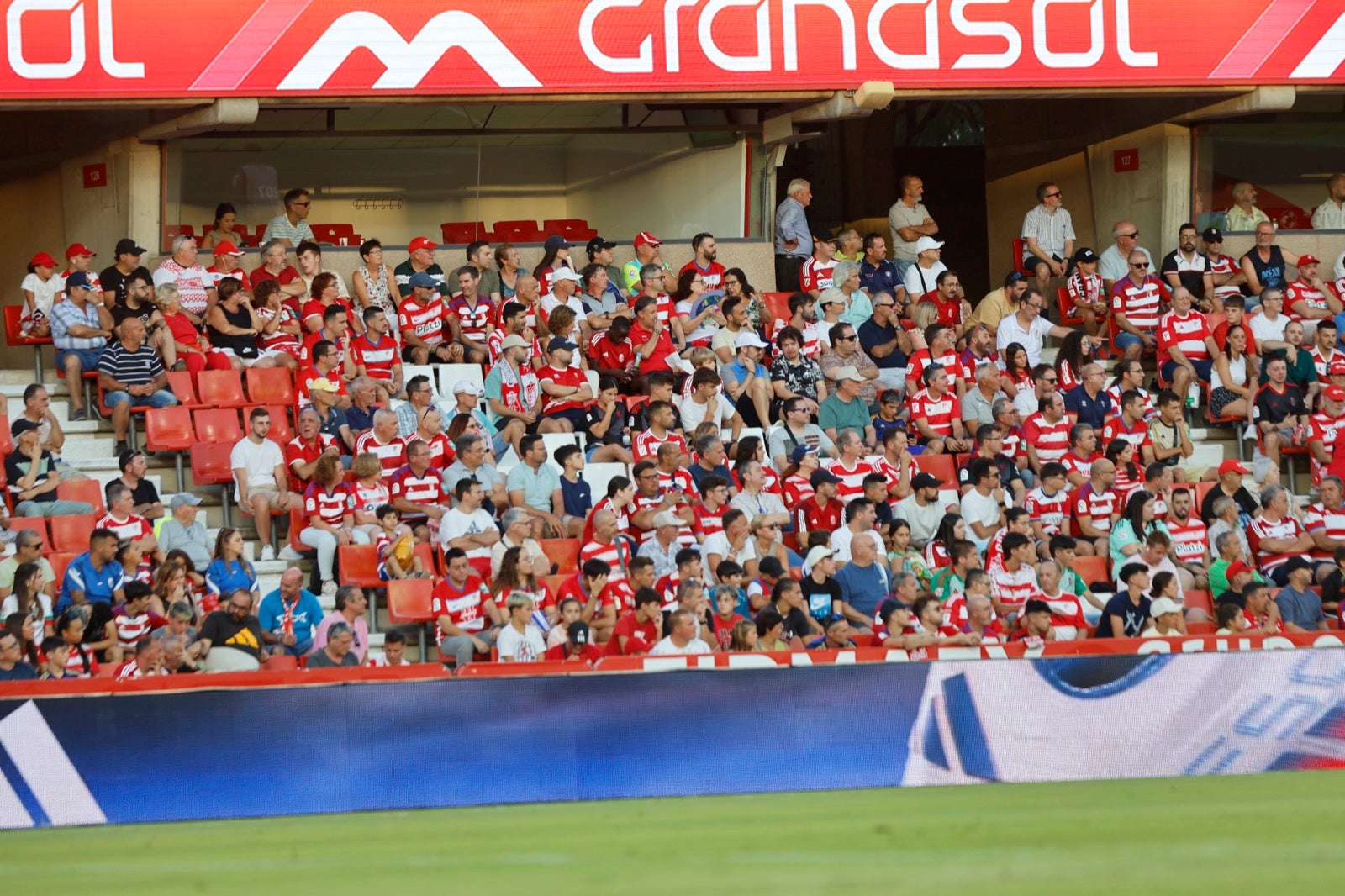 Encuéntrate en la grada durante el Granada-Albacete