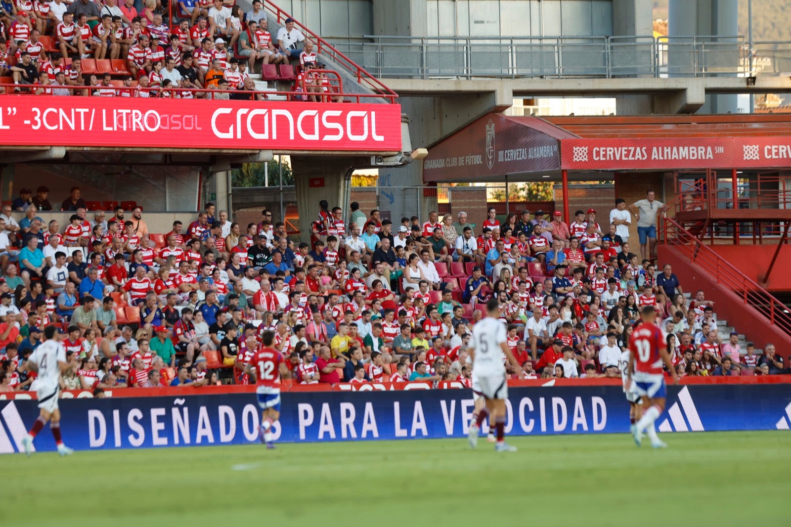 Encuéntrate en la grada durante el Granada-Albacete