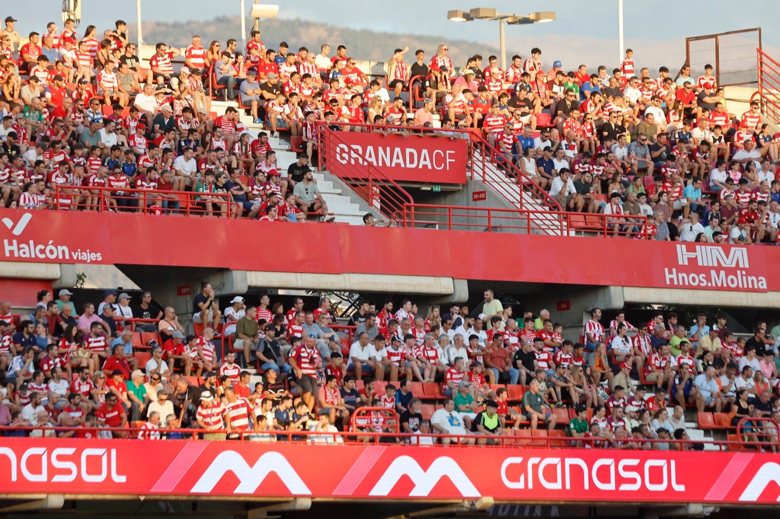 Encuéntrate en la grada durante el Granada-Albacete
