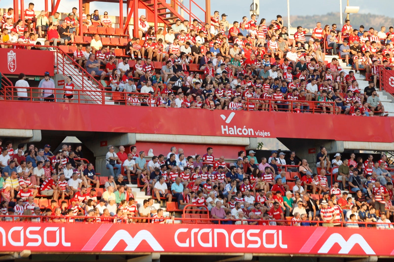 Encuéntrate en la grada durante el Granada-Albacete