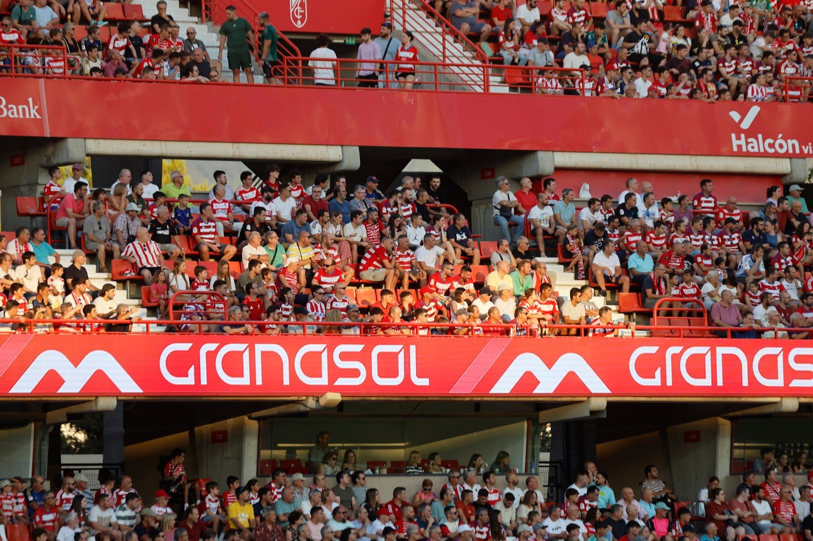 Encuéntrate en la grada durante el Granada-Albacete