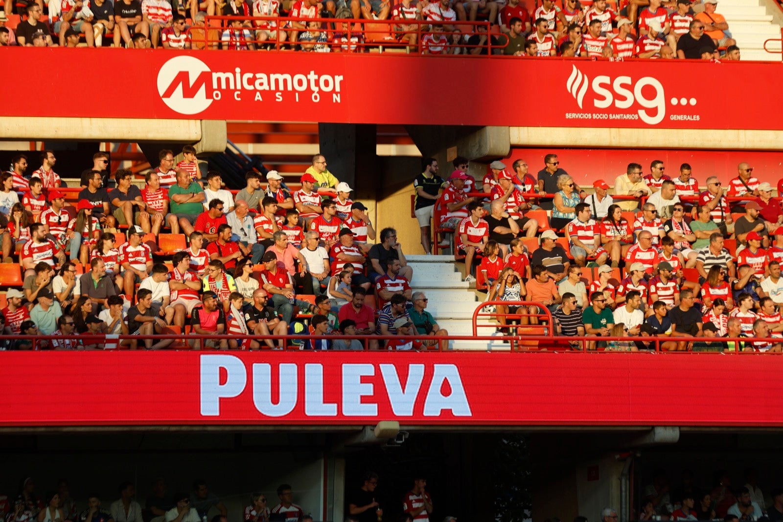 Encuéntrate en la grada durante el Granada-Albacete