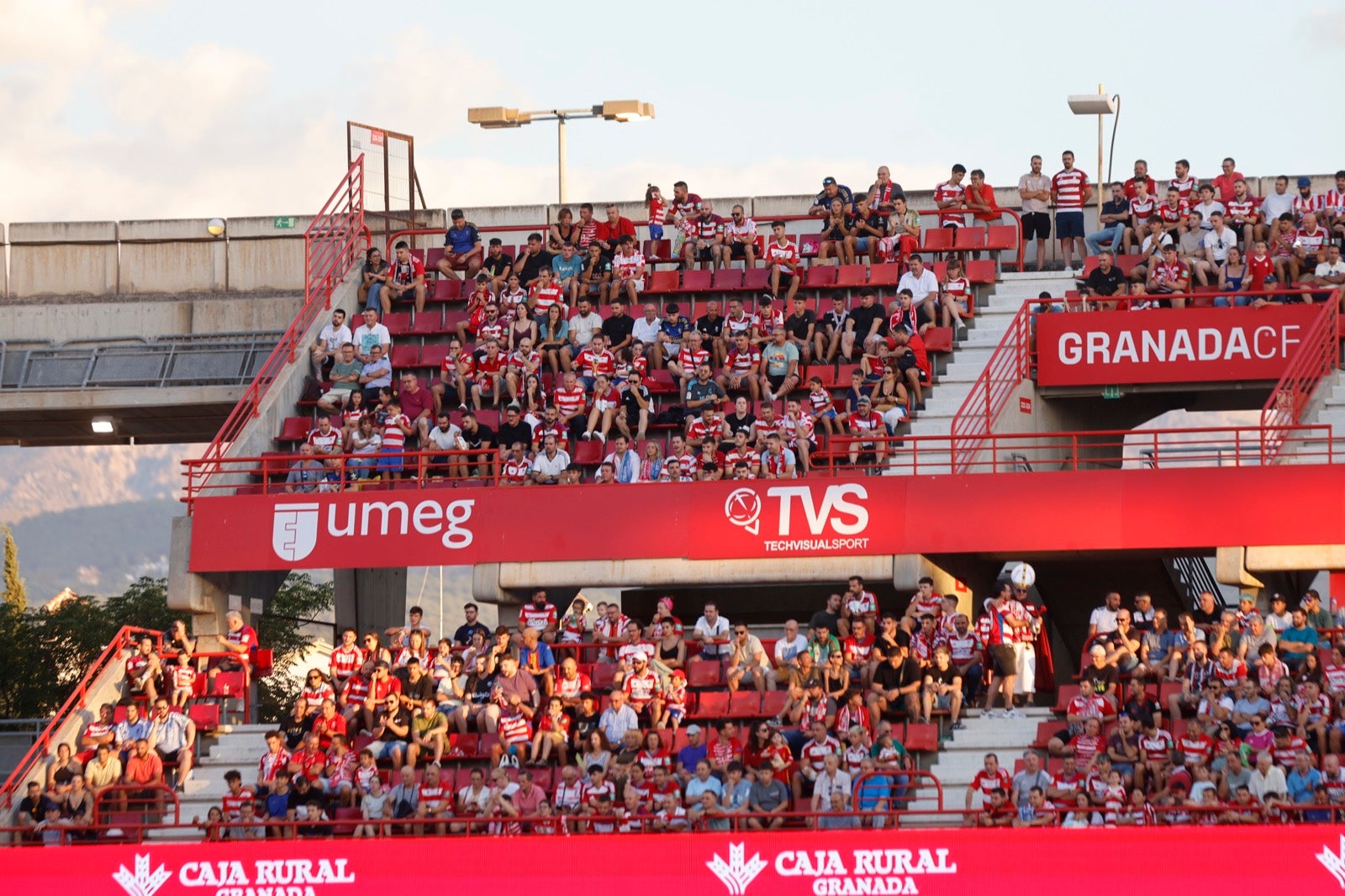 Encuéntrate en la grada durante el Granada-Albacete