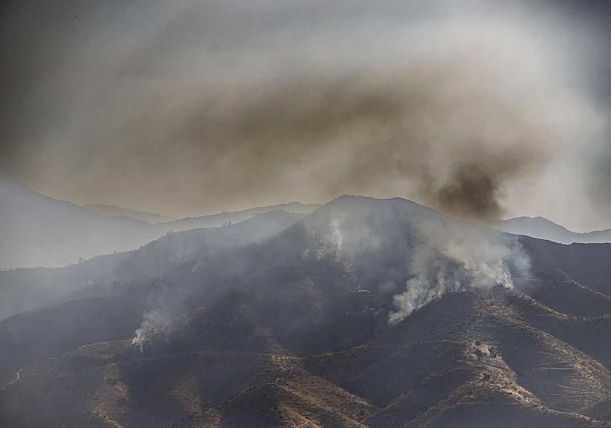 Almuñécar evalúa los daños del incendio para acceder a posibles ayudas económicas
