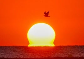 La fotografía en la que el sol parecía derretirse en el horizonte.