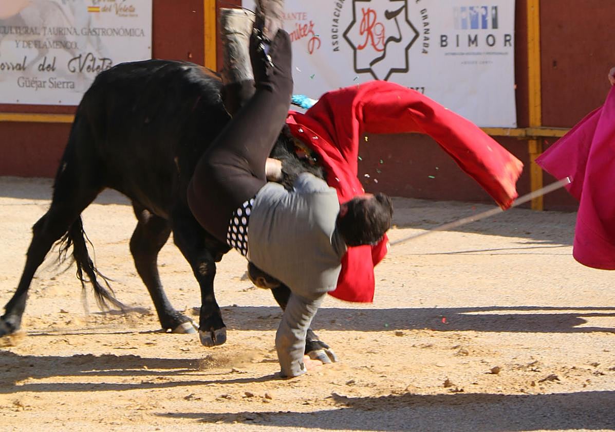 Cogida a Curro Ortiz