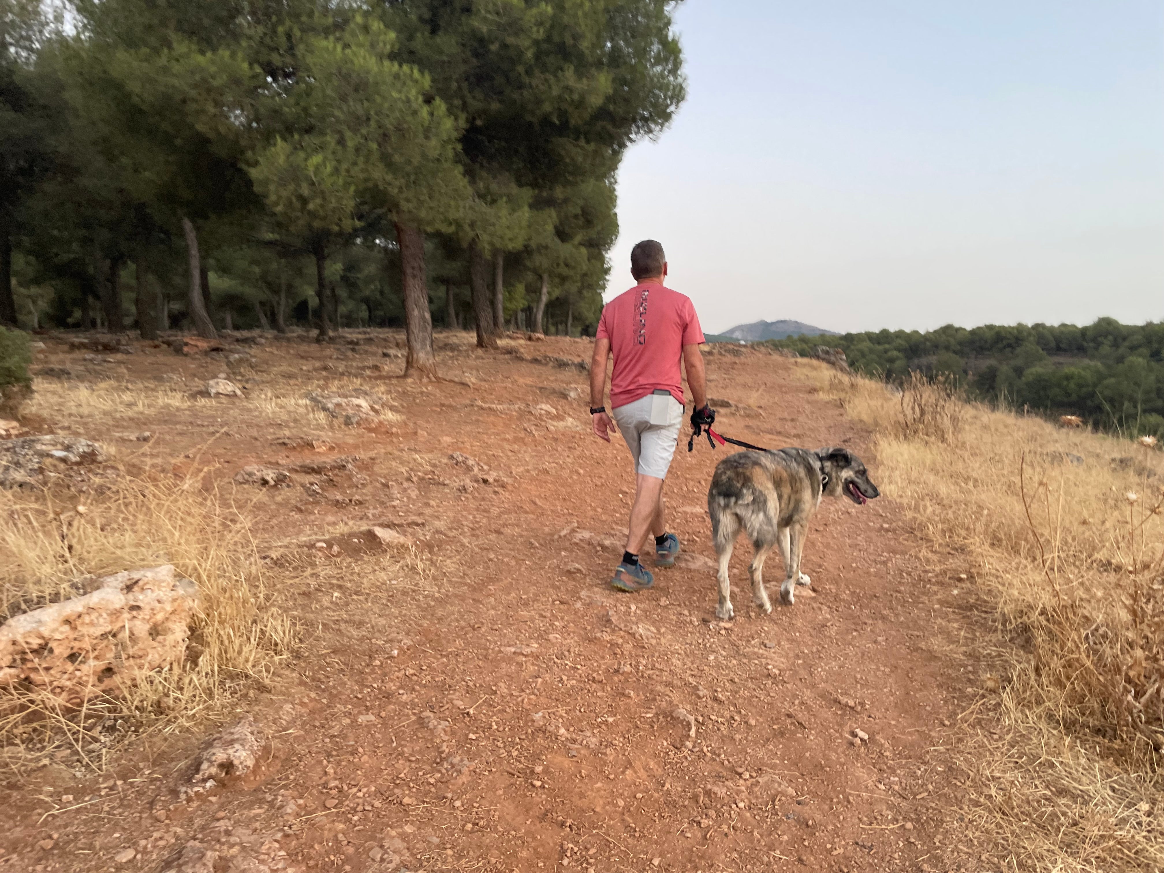 Un hombre pasea a su perra sujeta por una correa en un pinar de Monachil, en el Parque Natural de Sierra Nevada.