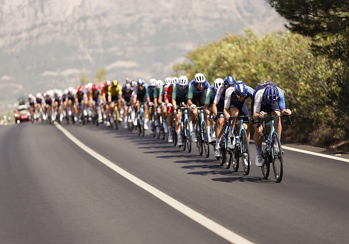 El pelotón de la Vuelta, durante la pasada etapa en Úbeda.