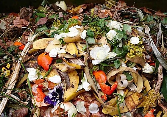 Residuos orgánicos.