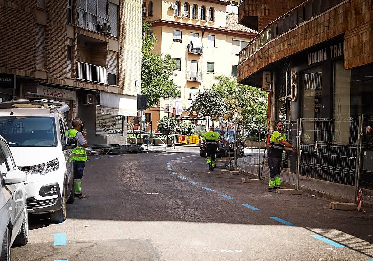 Operarios colocan vallas en la calle Las Flores este lunes.