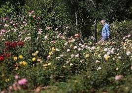 El nuevo contrato de jardines alcanzará los 9,5 millones