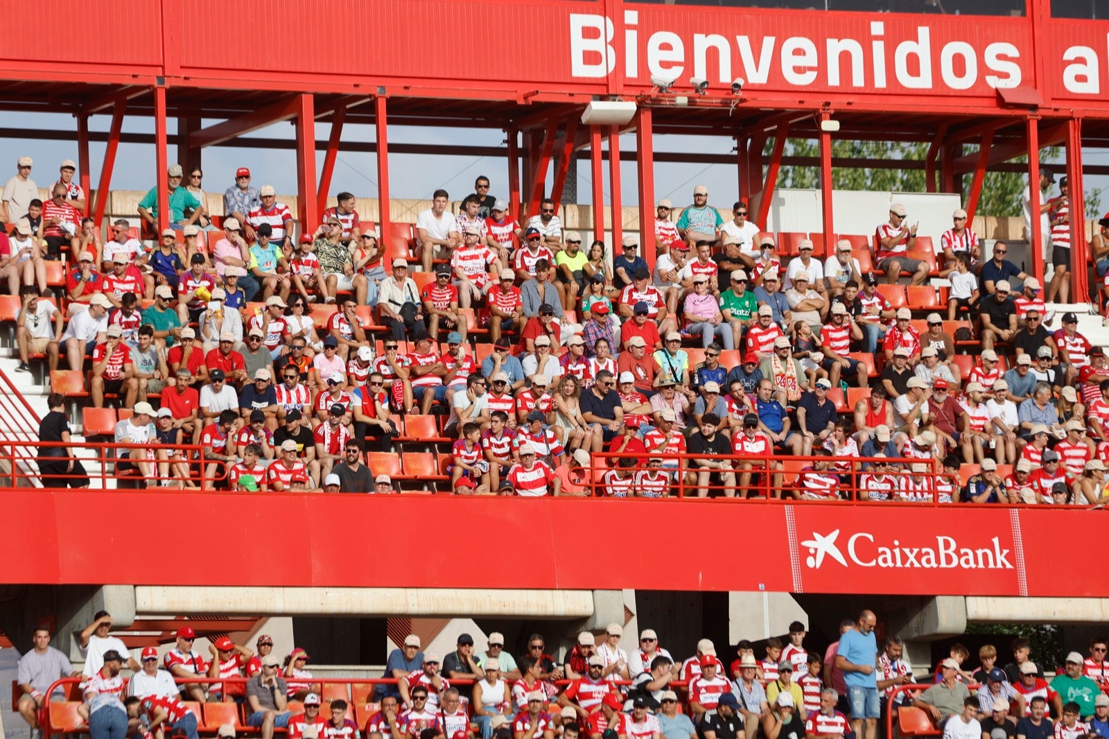 ¿Has ido a animar al Granada a Los Cármenes? Búscate en la grada