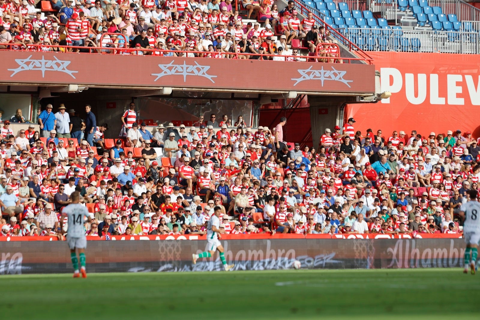 ¿Has ido a animar al Granada a Los Cármenes? Búscate en la grada