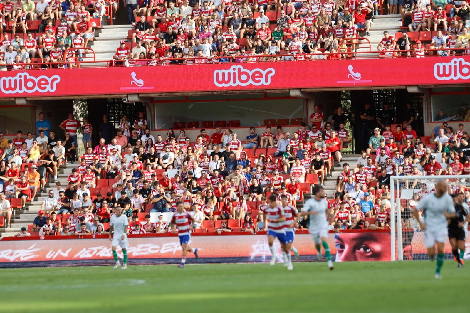 ¿Has ido a animar al Granada a Los Cármenes? Búscate en la grada
