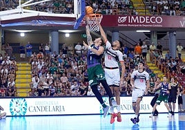 Amine Noua dificulta el enceste de Osetkowski.