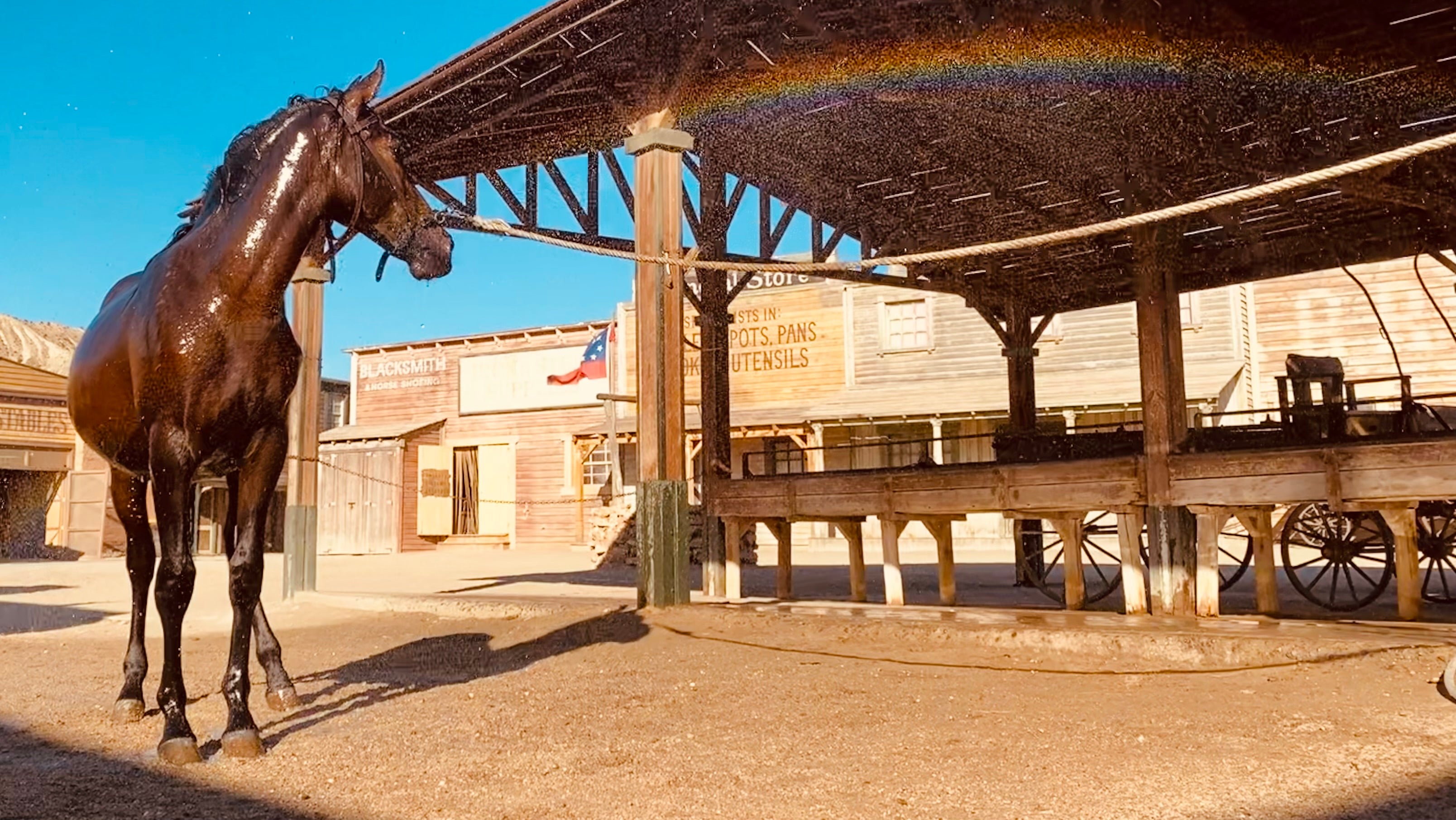 Uno de los caballos del poblado del Oeste de Oasys Minihollywood, en Tabernas, recibe una refrescante ducha durante el verano.