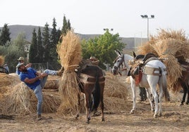 Así es el pueblo granadino que recuerda las antiguas labores del campo.