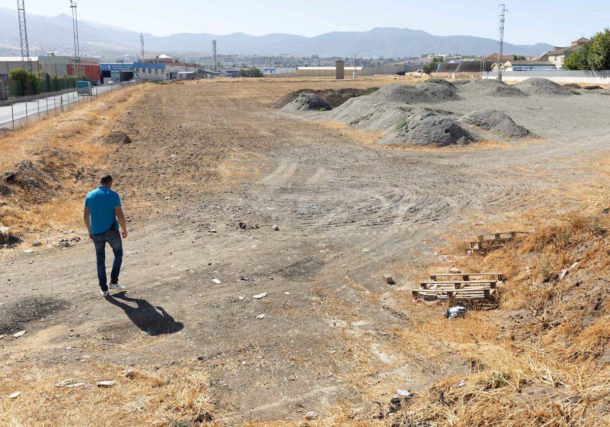 Terrenos en los que se ubicará la piscina olímpica.