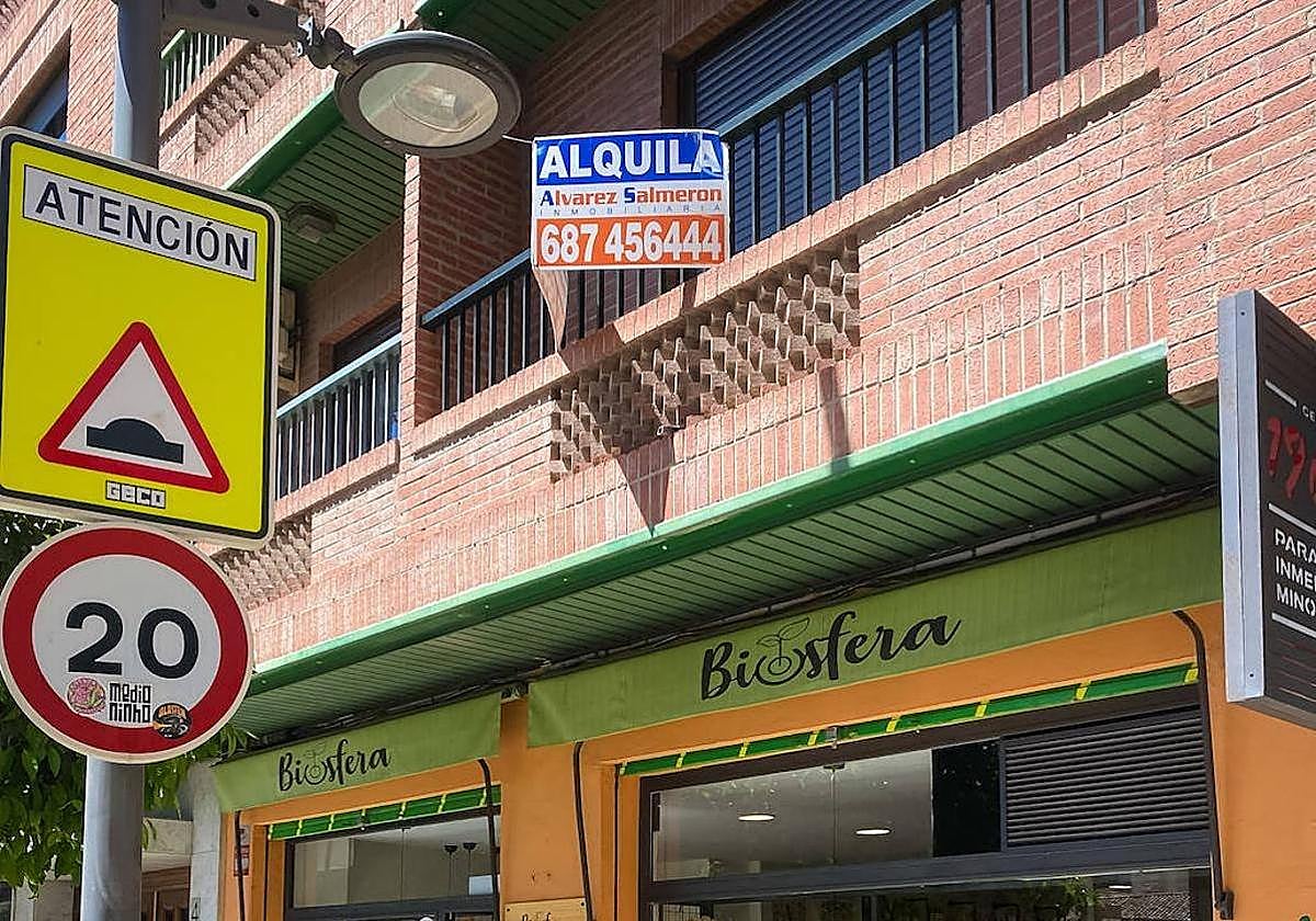 Piso en alquiler en la capital