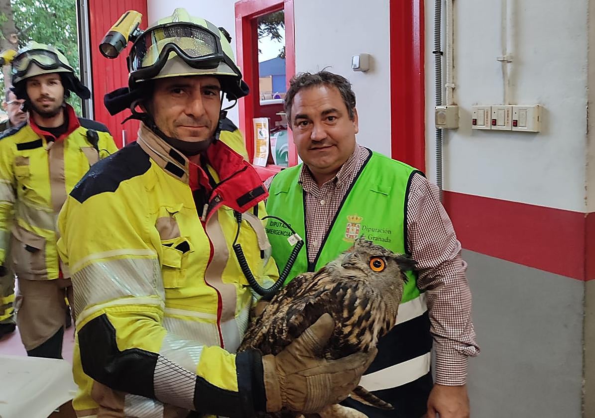 Los rescatadores y el responsable de Emergencias de la Diputación, Eduardo Martos, con el búho tras ser liberado.