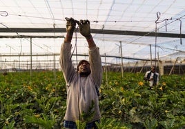 COAG abre el debate sobre la bajada de la edad de jubilación en el sector agrícola