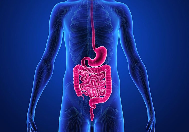 Las personas mayores deben eliminar este producto de su alimentación según la OCU.