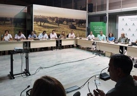 Presentación del aforo de algodón para la próxima campaña en la Consejería de Agricultura.