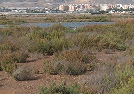 Imagen de archivo de la Salinas de Roquetas.