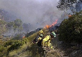 Imagen de archivo de un incendio forestal en la provincia.