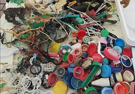 Encuentran restos de microplásticos en el pescado más común de los hogares de Almería