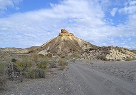 Almería es diez veces más árida que hace una década y Pacma insta a la Junta a tomar medidas