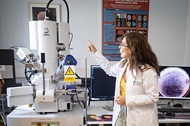 El nuevo microscopio de barrido de la UGR.